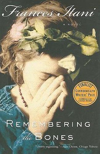 Cover image for Remembering the Bones