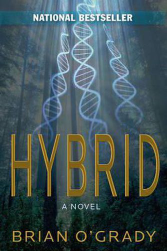 Cover image for Hybrid