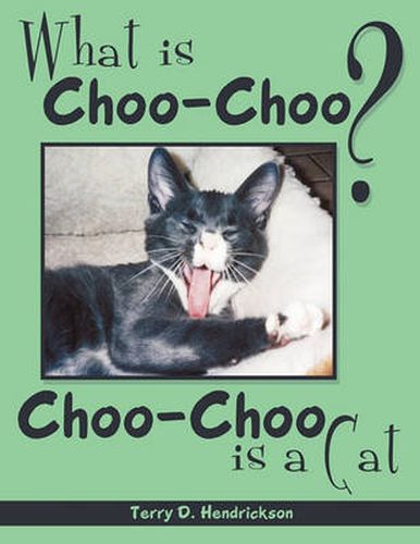 Cover image for What Is Choo-Choo?