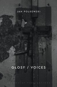 Cover image for Glosy / Voices