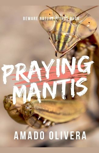 Cover image for Praying Mantis