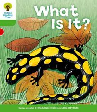 Cover image for Oxford Reading Tree: Level 2: More Patterned Stories A: What Is It?