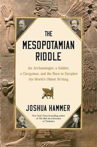 Cover image for The Mesopotamian Riddle