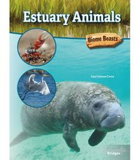 Cover image for Estuary Animals