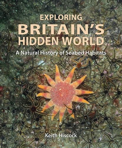 Cover image for Exploring Britain's Hidden World: A natural history of seabed habitats