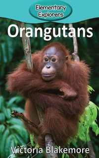 Cover image for Orangutans