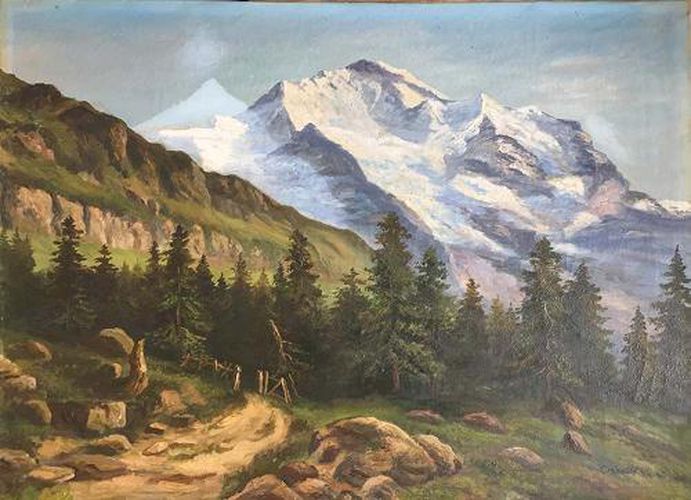 Cover image for Asli Cavusoglu