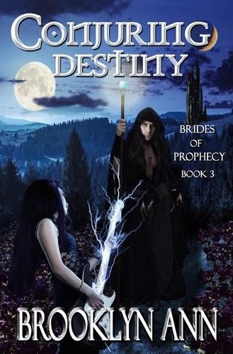 Cover image for Conjuring Destiny