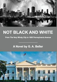 Cover image for Not Black and White: From the Very Windy City to 1600 Pennsylvania Avenue