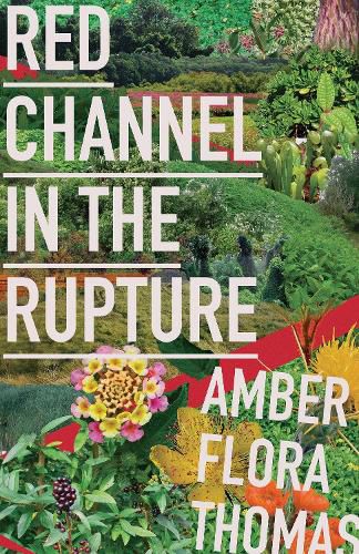 Cover image for Red Channel in the Rupture