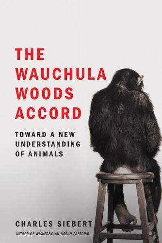 Cover image for Wauchula Woods Accord