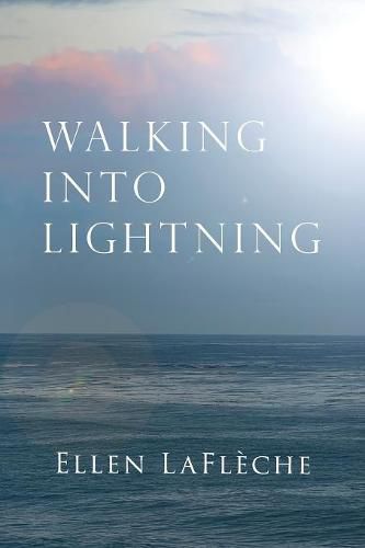 Cover image for Walking Into Lightning