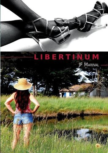 Cover image for Libertinum: Au revers du fait divers