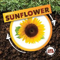 Cover image for Life Cycle of a Sunflower