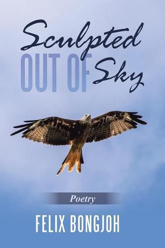 Cover image for Sculpted out of Sky