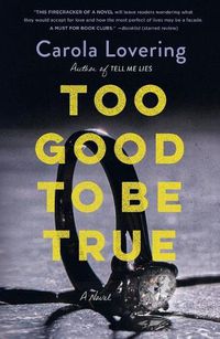 Cover image for Too Good to Be True: A Novel