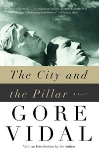 Cover image for The City and the Pillar: A Novel