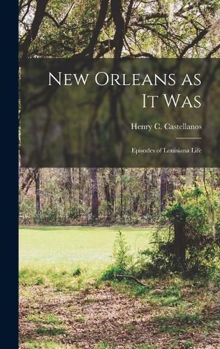 Cover image for New Orleans as it Was