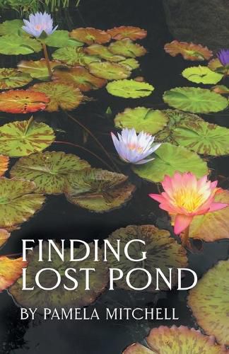 Cover image for Finding Lost Pond