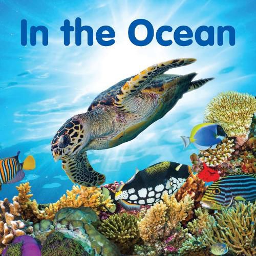 Cover image for In the Ocean: Board book