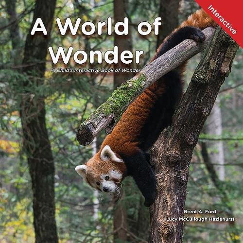 A World of Wonder: A Child's Interactive Book of Wonder