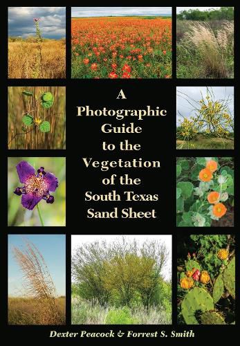 Cover image for A Photographic Guide to the Vegetation of the South Texas Sand Sheet