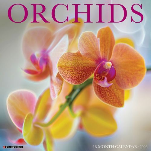 Cover image for Orchids 12 X 12 Wall Calendar