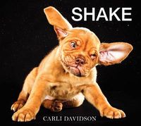 Cover image for Shake