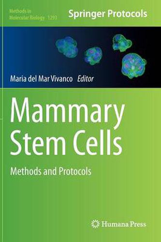 Cover image for Mammary Stem Cells: Methods and Protocols