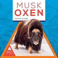 Cover image for Musk Oxen