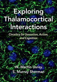 Cover image for Exploring Thalamocortical Interactions: Circuitry for Sensation, Action, and Cognition