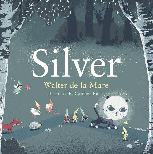 Cover image for Silver