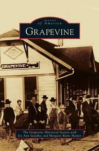 Cover image for Grapevine