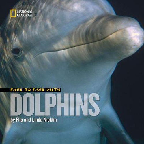 Cover image for Face to Face with Dolphins