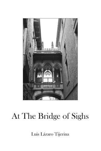 Cover image for At the Bridge of Sighs