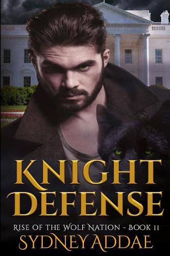 Cover image for Knight Defense