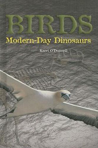 Birds: Modern-Day Dinosaurs