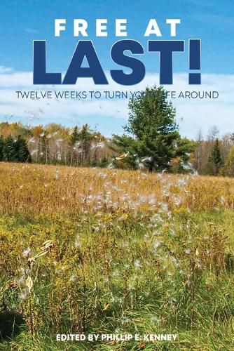 Cover image for Free at Last