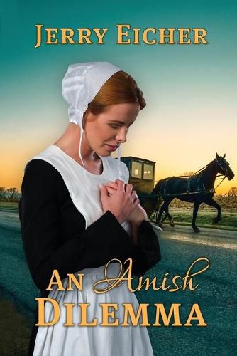 Cover image for An Amish Dilemma