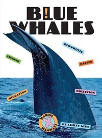 Cover image for Blue Whales