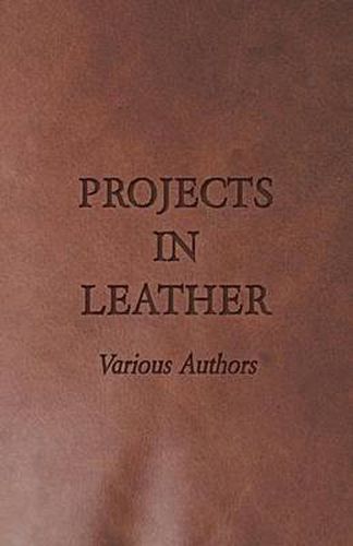 Cover image for Projects in Leather