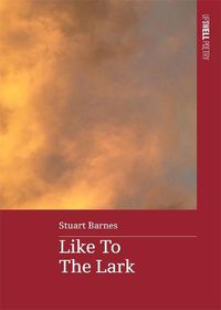Cover image for Like To The Lark