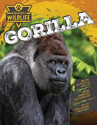 Cover image for Gorilla