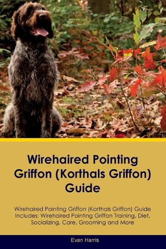 Cover image for Wirehaired Pointing Griffon (Korthals Griffon) Guide Wirehaired Pointing Griffon Guide Includes