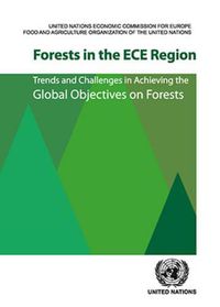 Cover image for Forests in the ECE region: trends and challenges in achieving the global objectives on forests