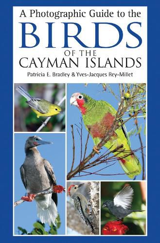 Cover image for A Photographic Guide to the Birds of the Cayman Islands