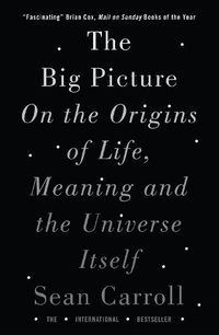 Cover image for The Big Picture: On the Origins of Life, Meaning, and the Universe Itself