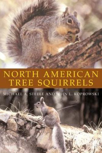 Cover image for North American Tree Squirrels