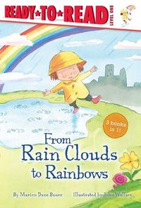 Cover image for From Rain Clouds to Rainbows