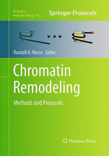 Cover image for Chromatin Remodeling: Methods and Protocols